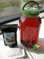 Raspberry Ice/Iced Tea Blend from Empire Tea Services