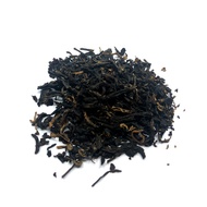 Vietnamese Ancient Tree from Tea Runners