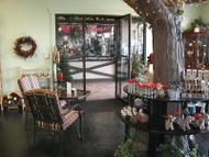 Afternoon Delight from the Curious Garden Teahouse
