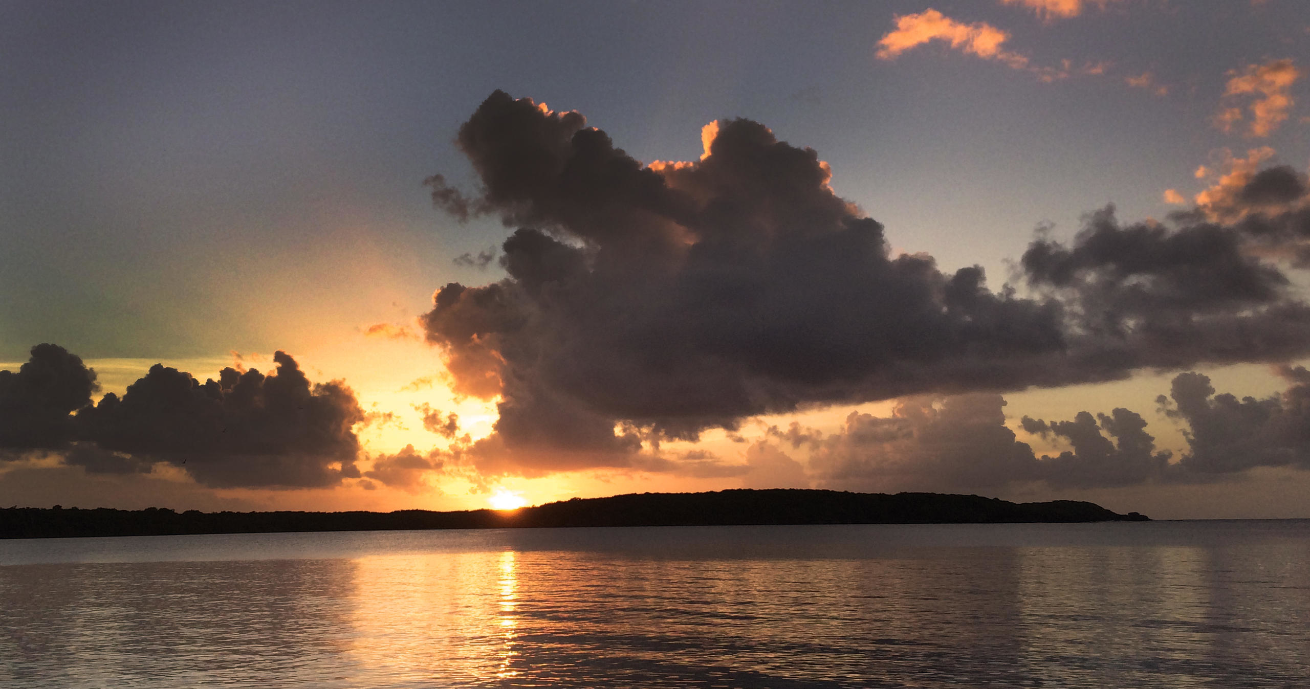 Explore, Discover & Preserve – Fajardo Eco Experience tour photo 4