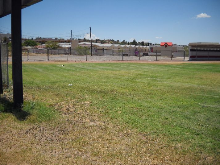 Playfield