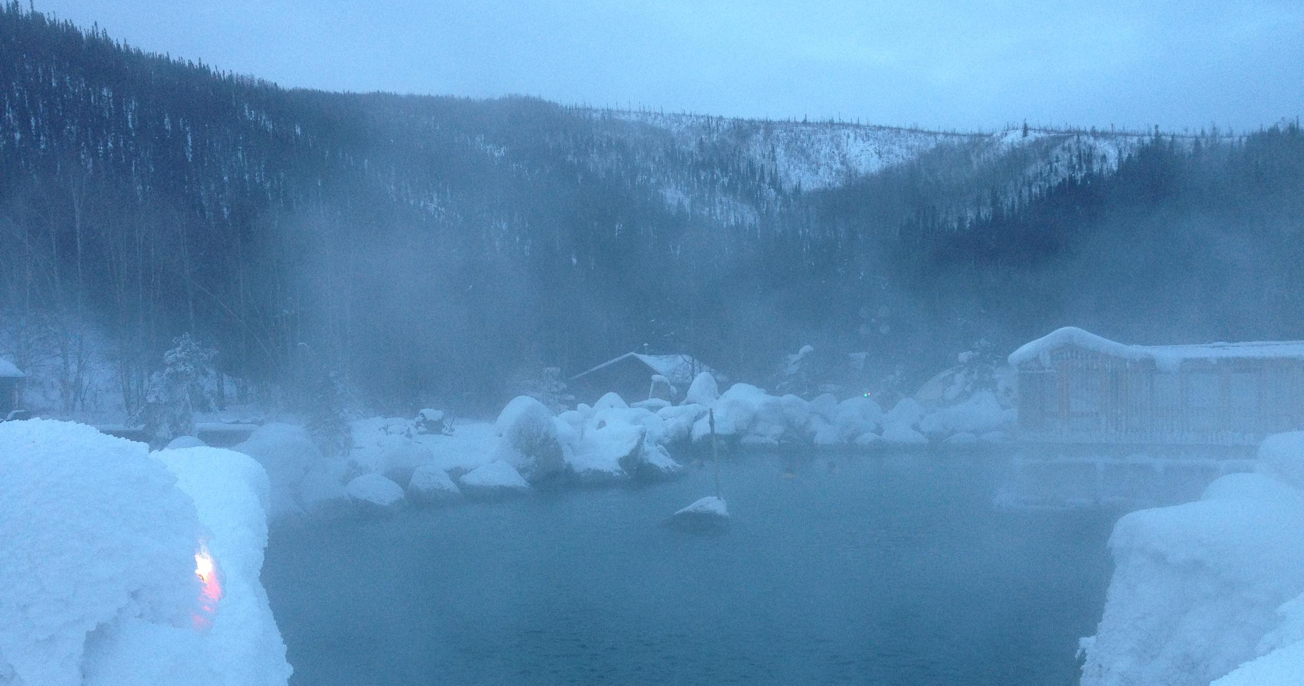 Northern Lights & Chena Hot Springs with Alaska Wildlife Guide LLC - Fairbanks