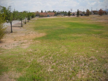 Playfield/Soccer