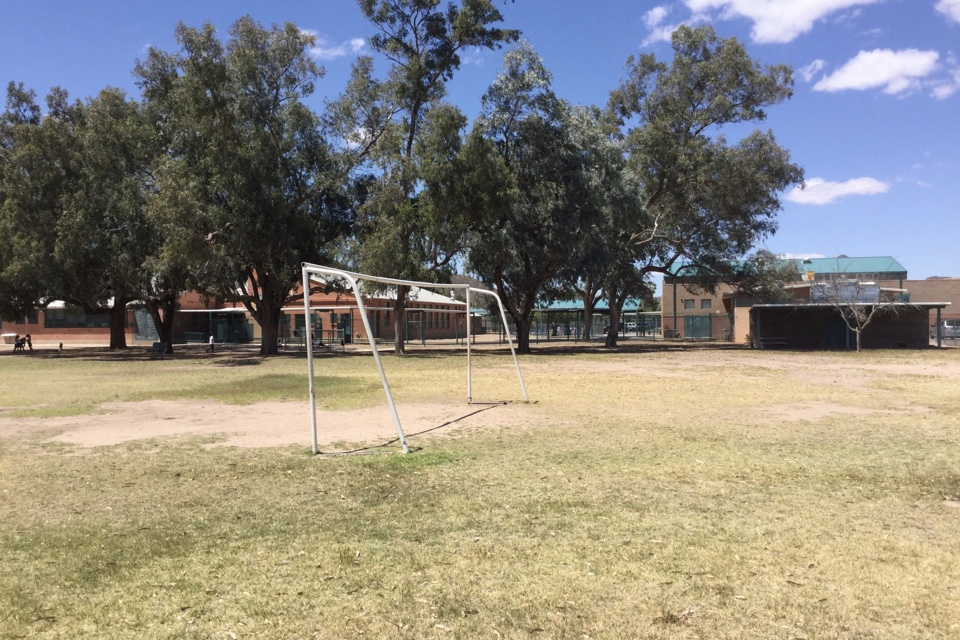 Baseball and Soccer Field