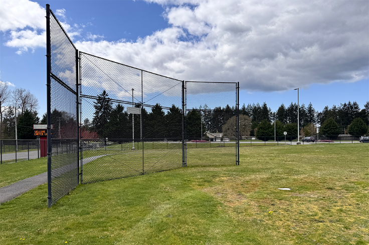 Baseball Field Grass