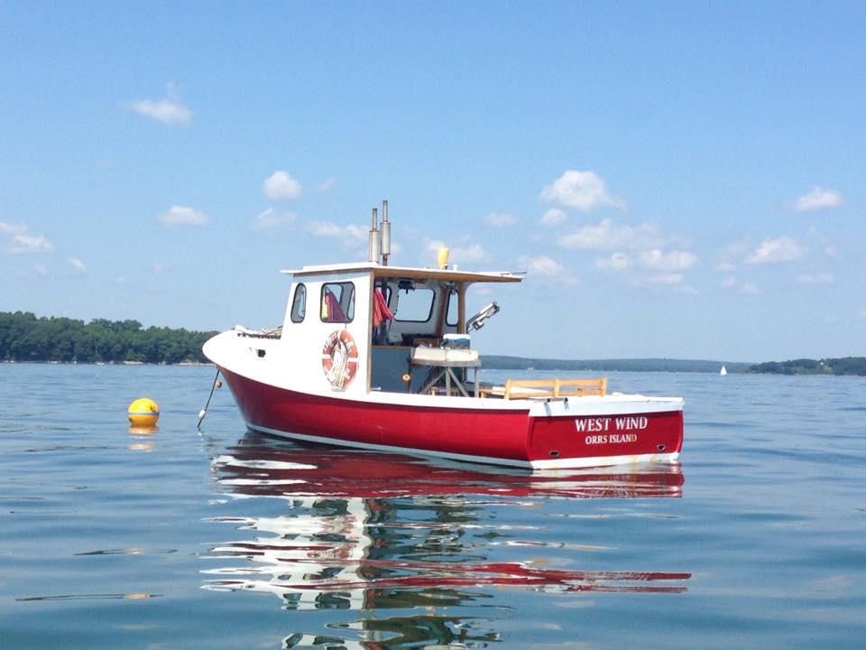 Let’s Go Lobstering! photo 1