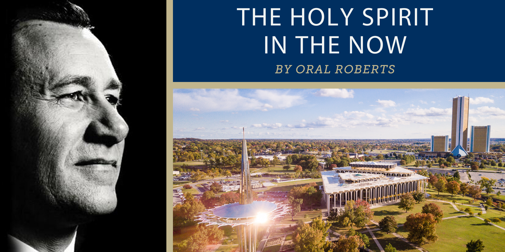 Product image for The Holy Spirit in the Now