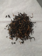 Assam Halmari OR-1827 from Camellia Sinensis