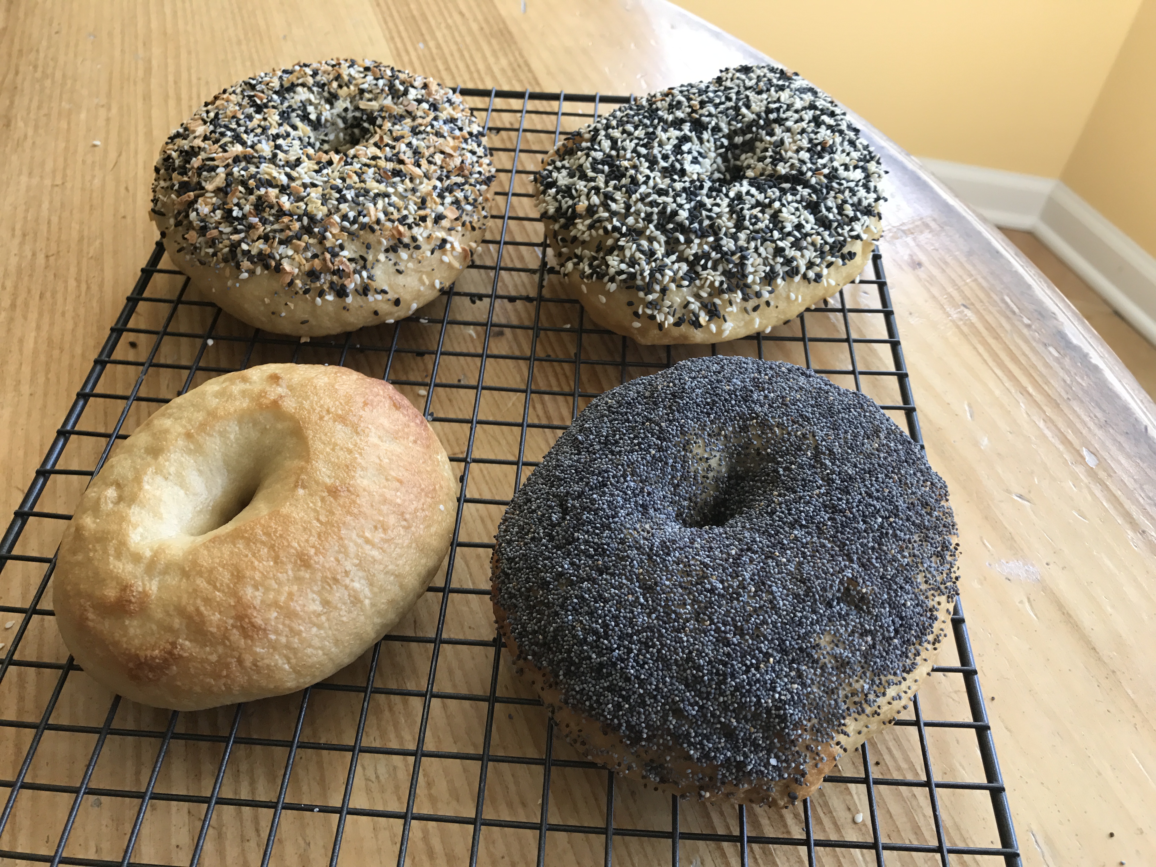 Amazing Chewy Bagels From Scratch Recipe ChefSteps
