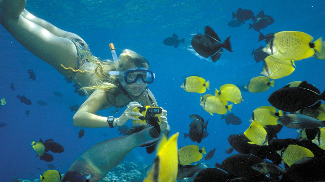 Molokini Snorkel & Sail photo