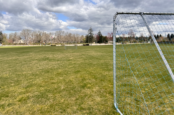 Athletic Field Grass