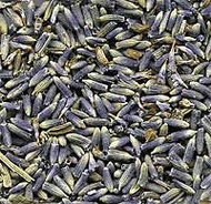 French Lavender from Indigo Tea Company