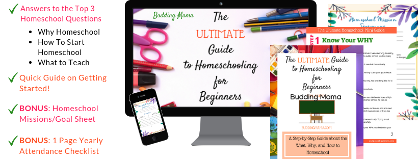 ultimate guide homeschool resources budding mama tutorial tips education