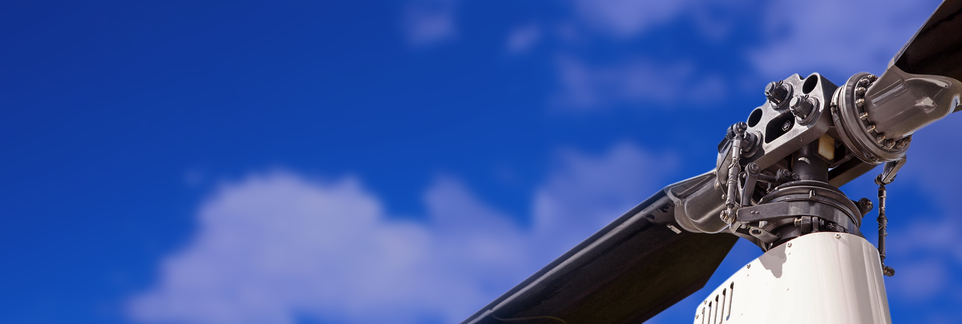 Thumbnail 19