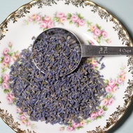 Tibet Wild Lavender Organic from Our T-zone