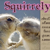 Squirrely from Adagio Custom Blends, Christa Y