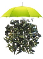 Iron Goddess of Mercy from Stir Tea