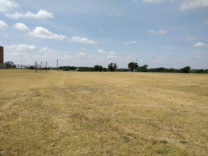 Field