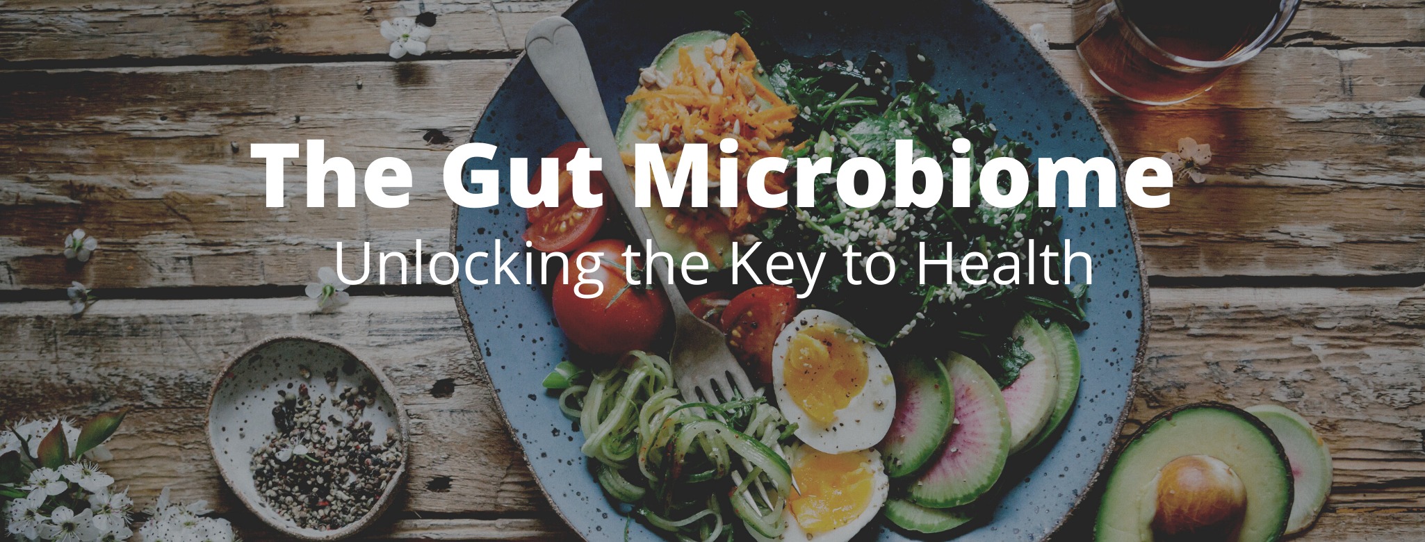 The Gut Microbiome Gut Resolution