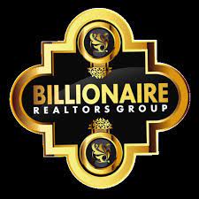 BABS OLAYINKA NIGERIA ENTERPRISES logo