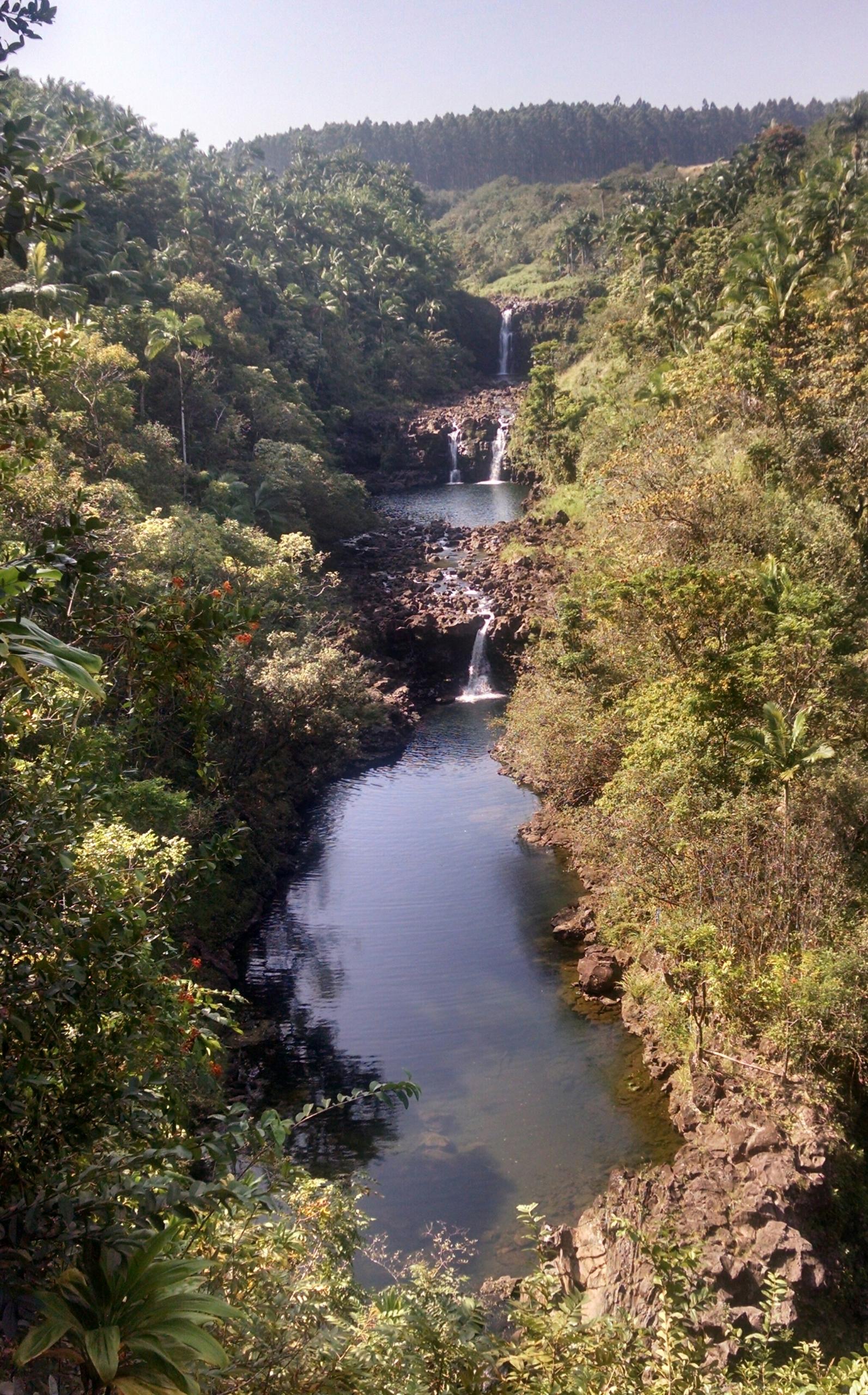 Gardens & Waterfall Zipline Tour in Hakalau, Hawaii - Hilo