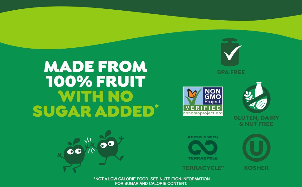 GoGo squeeZ No Sugar Added Apple Cinnamon & Apple Applesauce