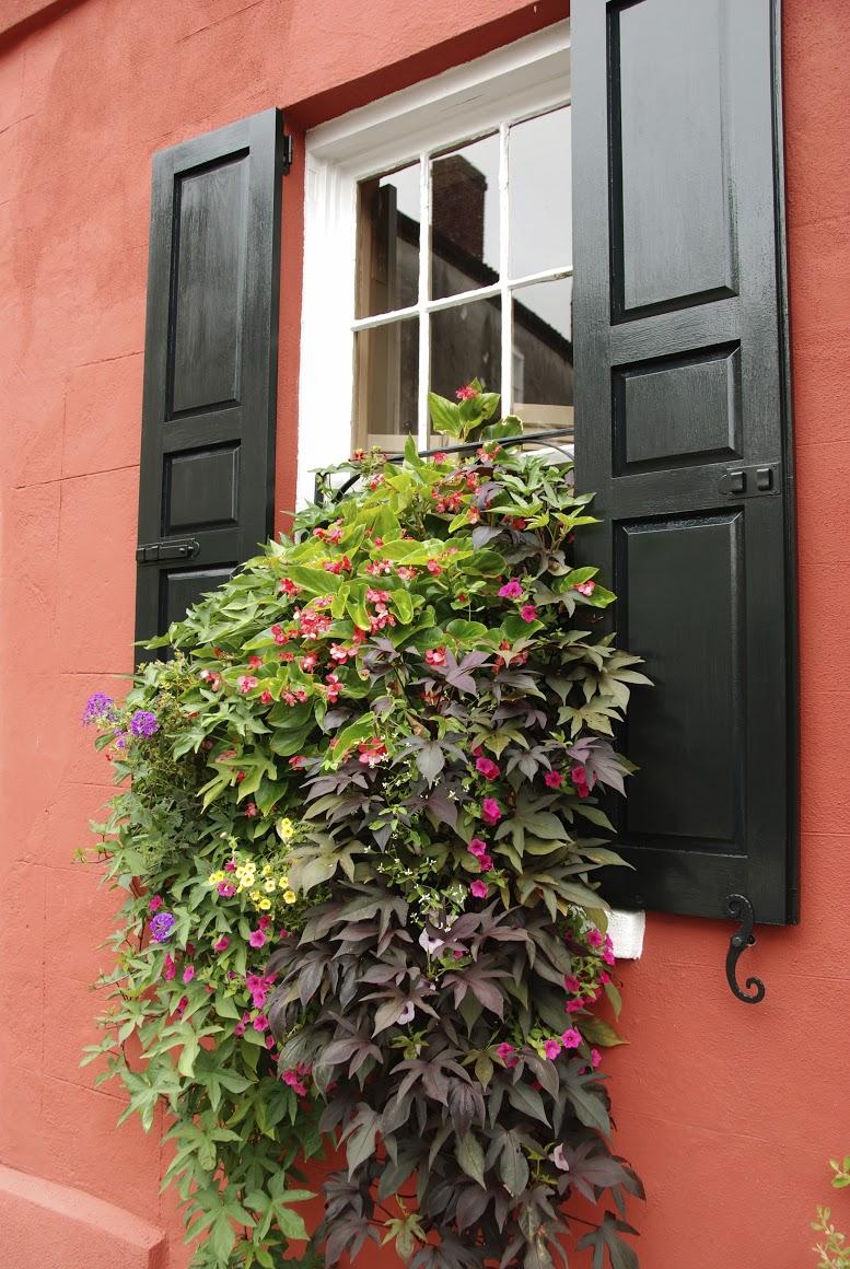 Charleston History Tour photo 1