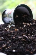 Apeldoorn's House Blend from Florapharm Tea USA
