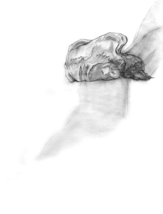 image: Saturation and Release, 11" x 14", 2010