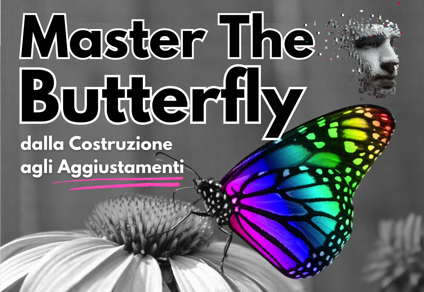 butterfly trading opzioni