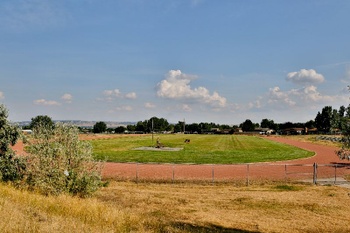 Track