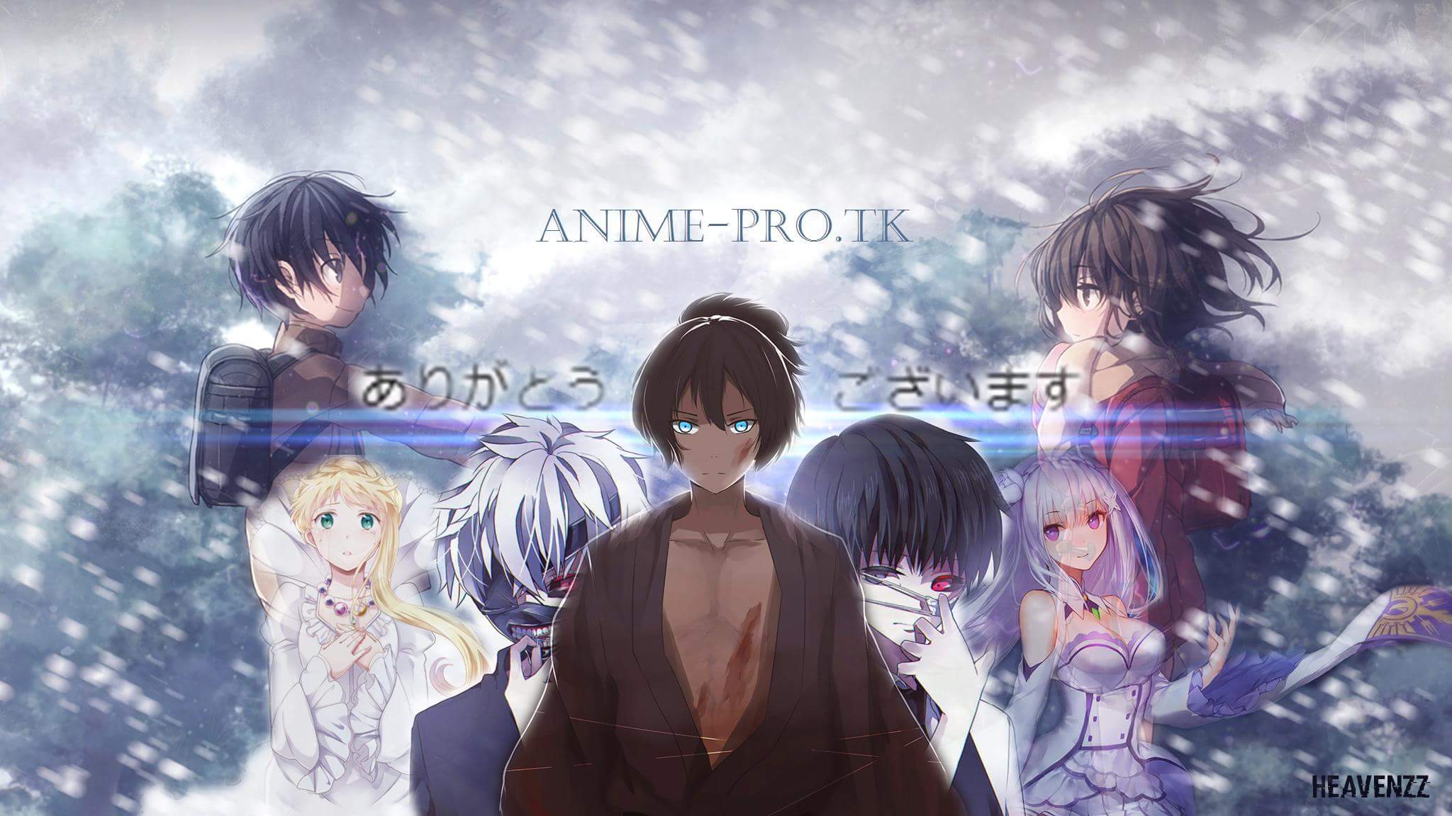Anime-Pro logo