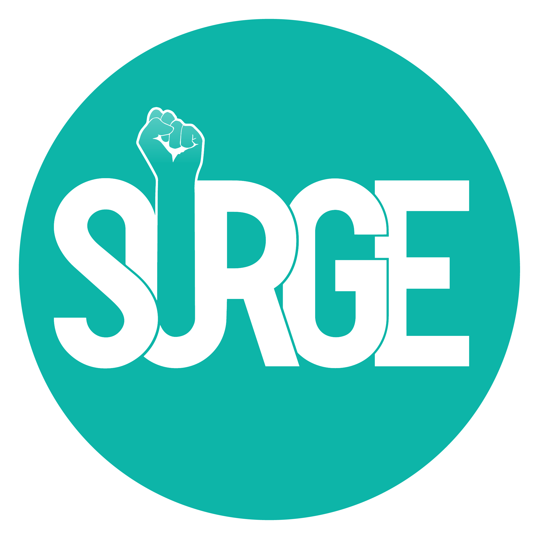 Support Surge Surge (Powered by Donorbox)