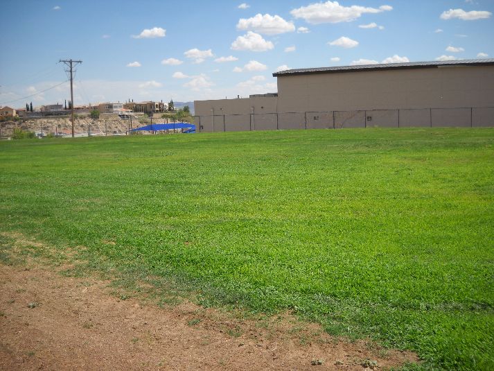 Playfield/Soccer