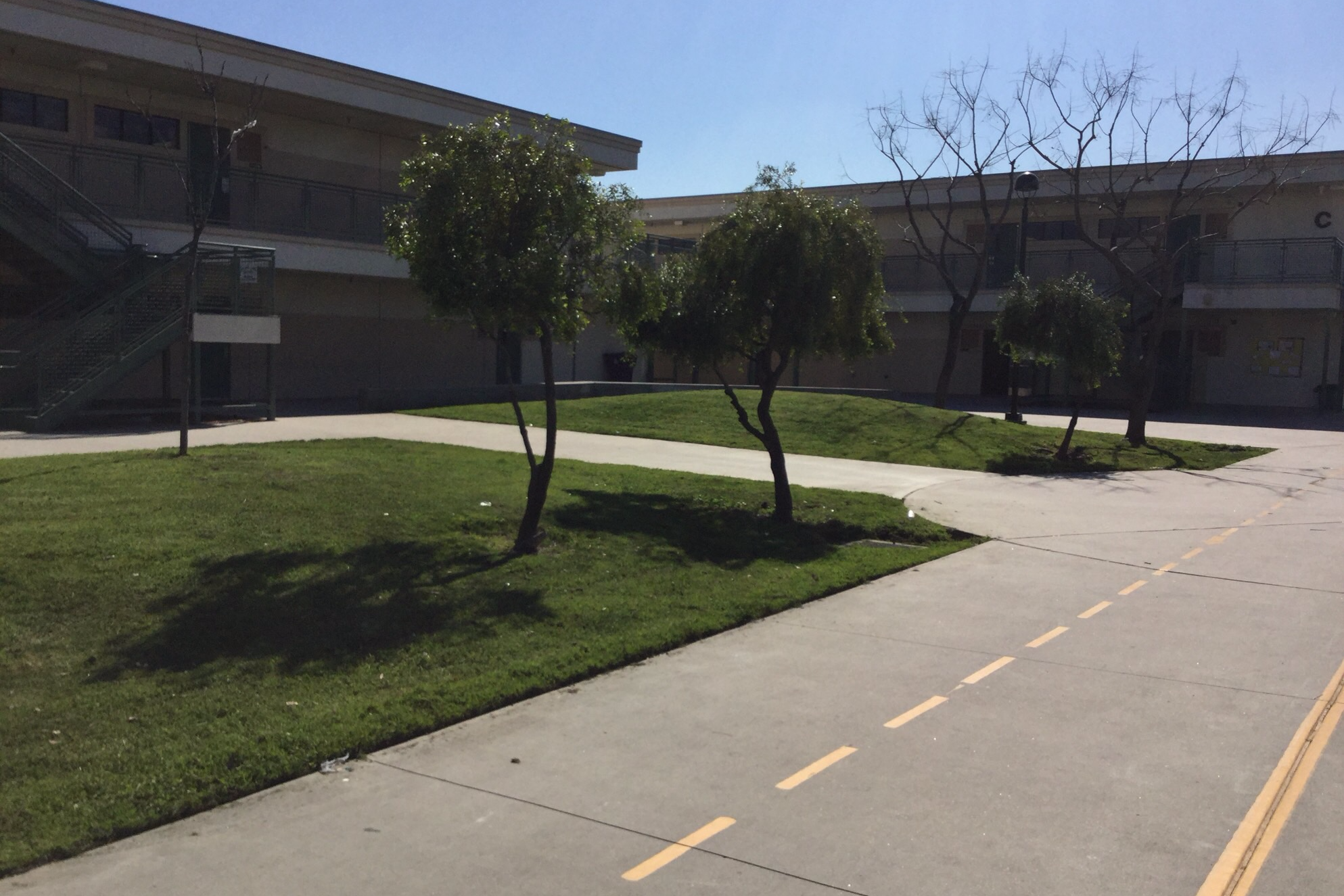 Quad