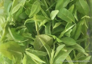 China Cha Dao Supreme Qing Shan Lu Shui (Ku Ding) Green Tea from China Cha Dao