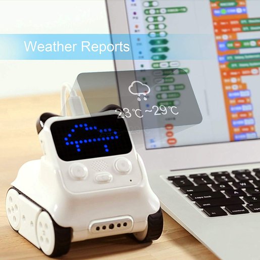 Product image for Codey Rocky: Weather Reporter Panda (Advanced) (Gr. 6-8)