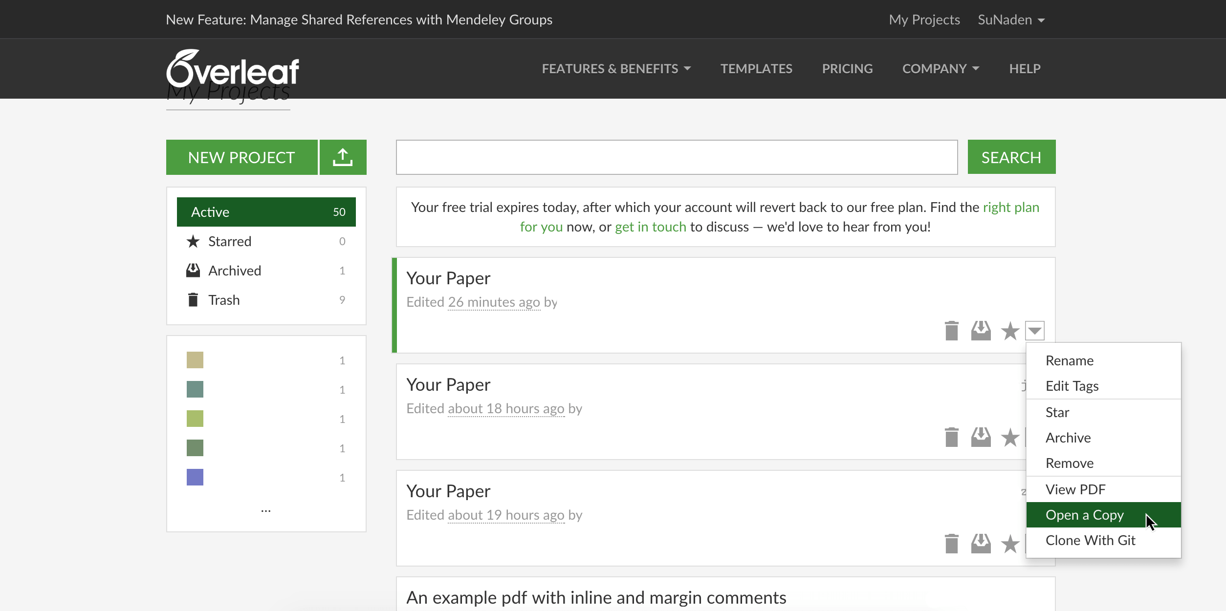 Overleaf Project Open a Copy Screenshot