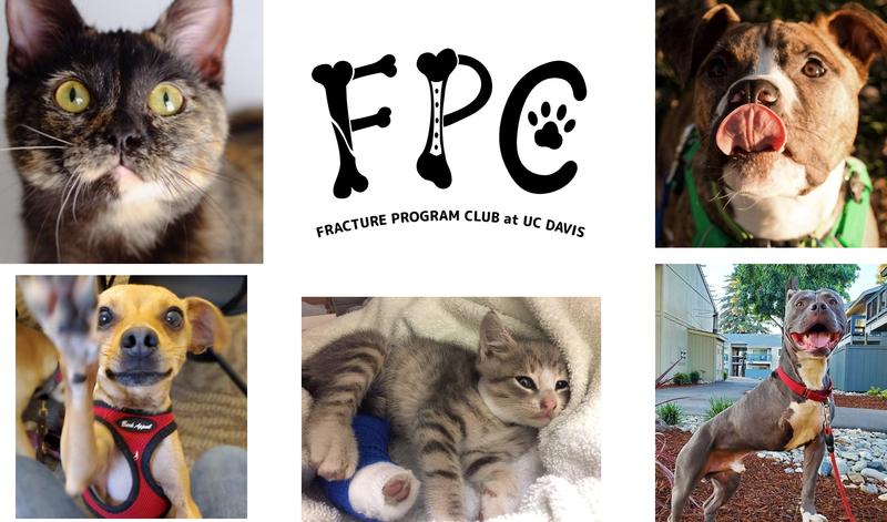 FPC t shirt animal photojpg