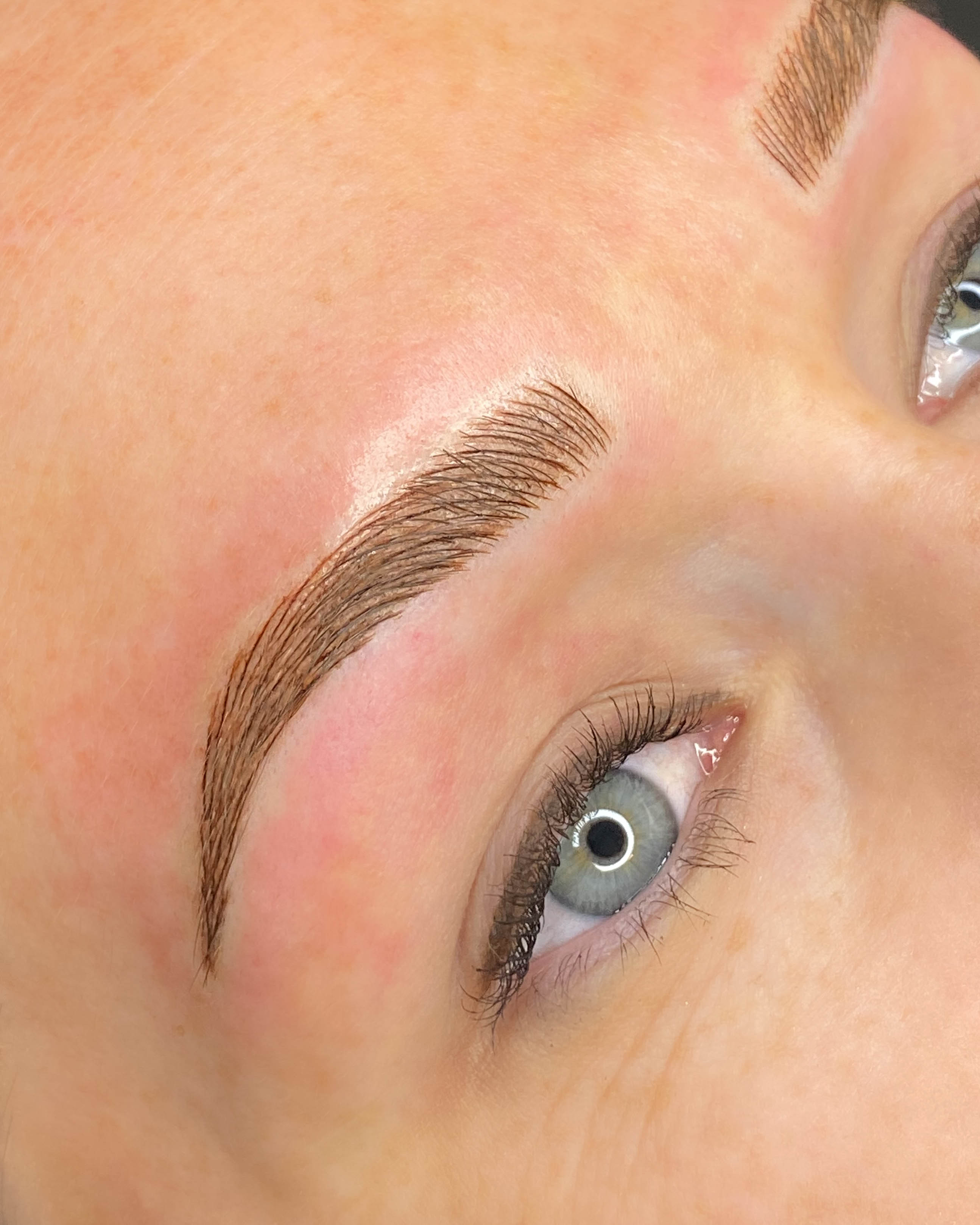 AzBrowAcademy's Custom Brow Mapping Technique AzBrowAcademy Online