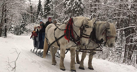 Winter Wildlife & Scenic Sleigh Ride by Positive Energy Outdoors - Burlington