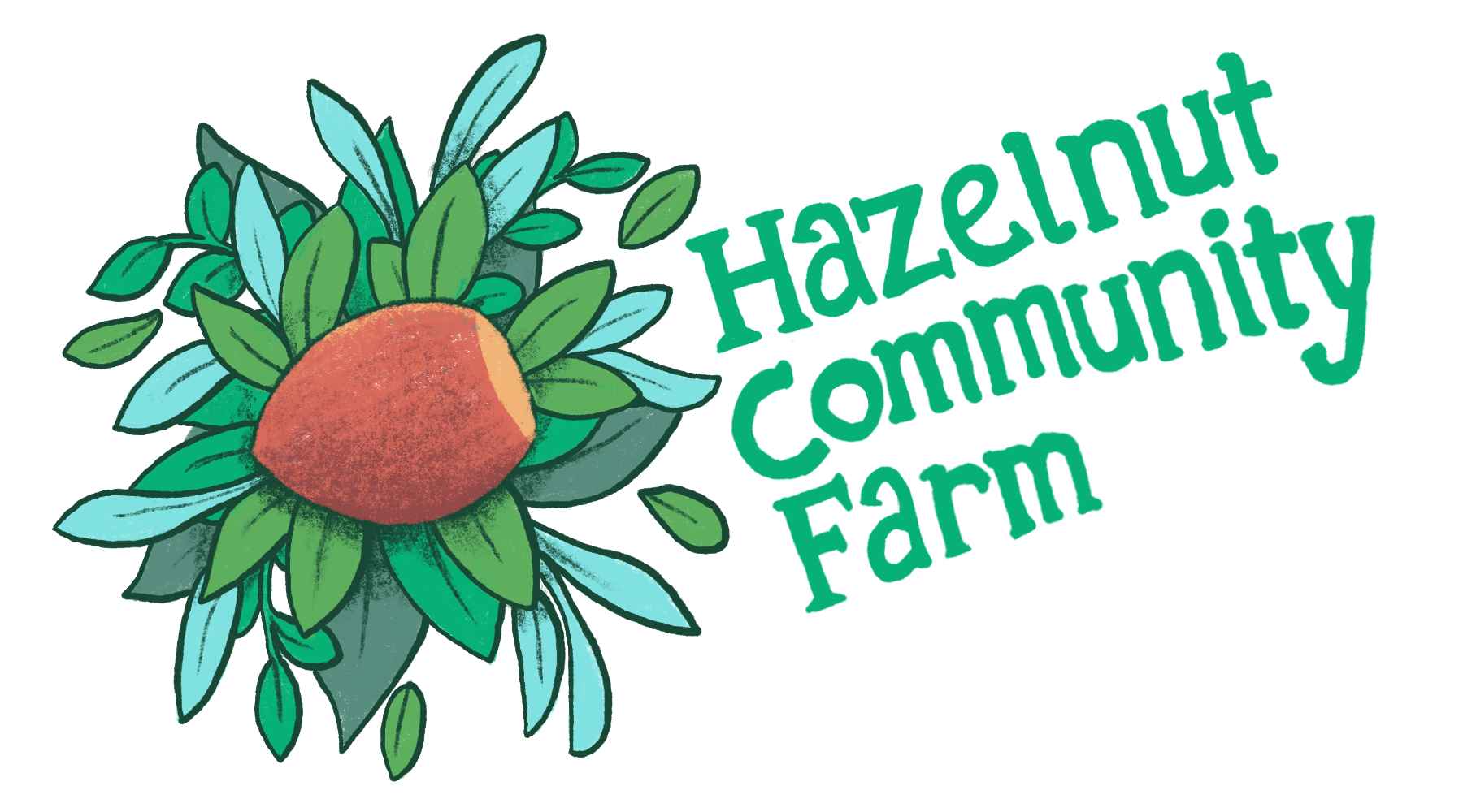 Hazelnut Community Farm logo