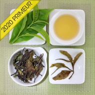 Organic "Primeur" Red Jade T-18 Shou Mei White Tea, Lot 901 from Taiwan Tea Crafts