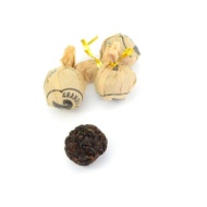 2019 Grandpa's from white2tea