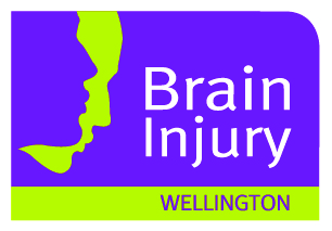 Brain Injury Association (Wellington)incorporated logo