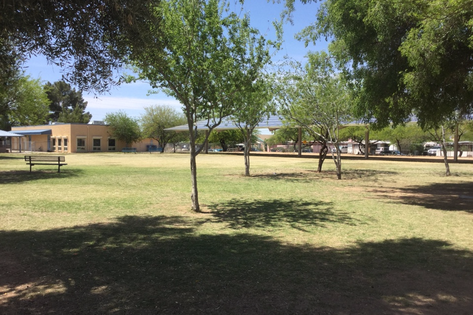 Playground and Field