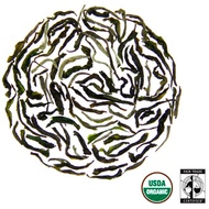 2011 First Flush Darjeeling Marybong Estate from Rishi Tea