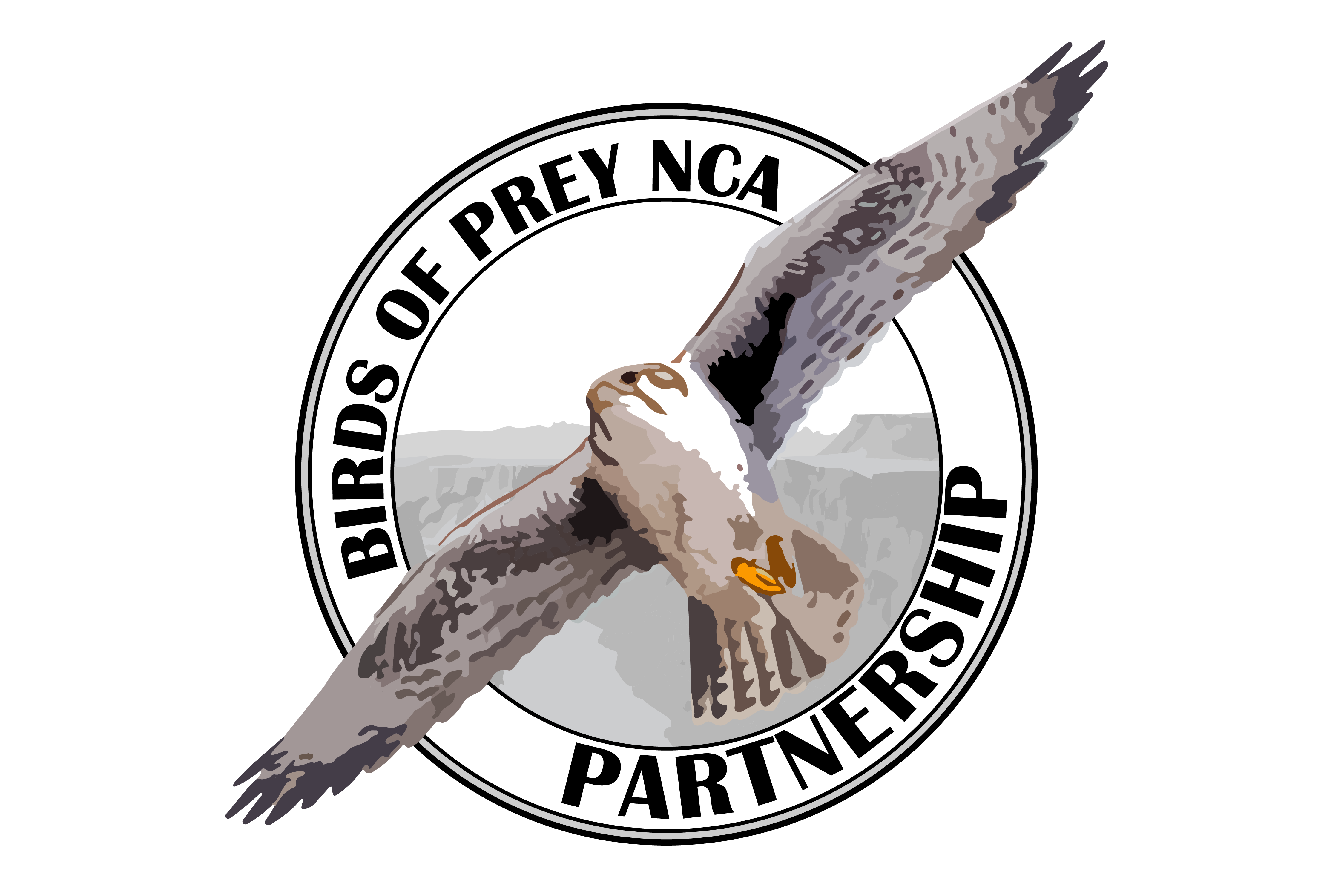 Birds of Prey NCA Partnership logo