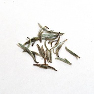 Yin Zhen (Silver Needle) from Canton Tea Co