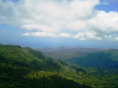 Rainforest Zipline photo 1